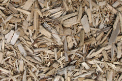 biomass boilers Cornworthy